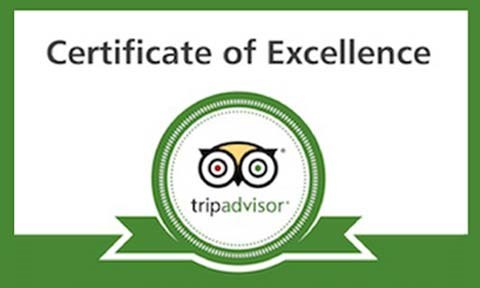 logo trip advisor nodata